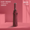 [black glue sunscreen] 12 bone-wine red