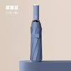 [morandi series] automatic ten-bone business umbrella--haze blue